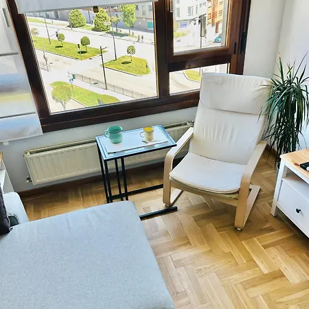 Apartamento El Pisín De Goya: Piso Luminoso Con Garaje A Pie Del Centro De Oviedo. *